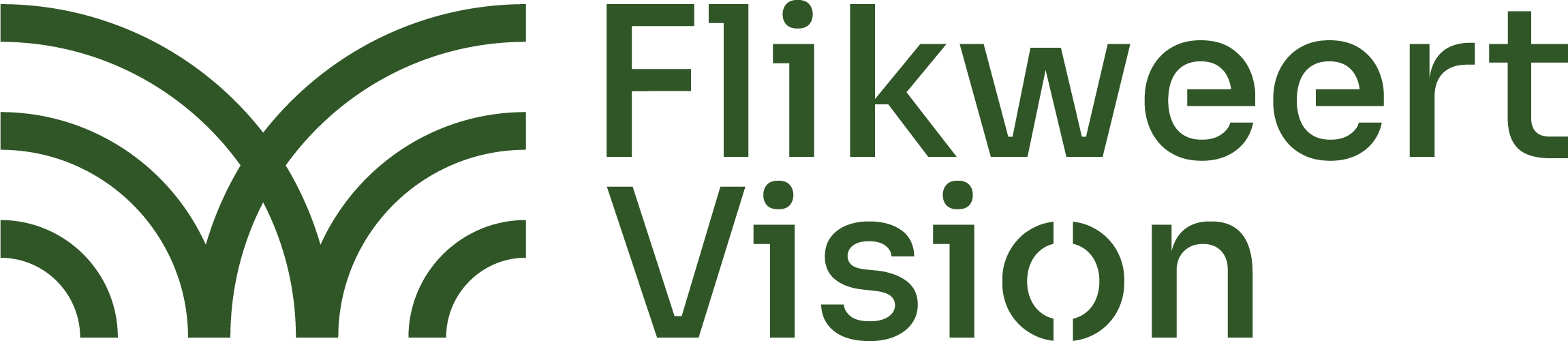 Flikweert Vision